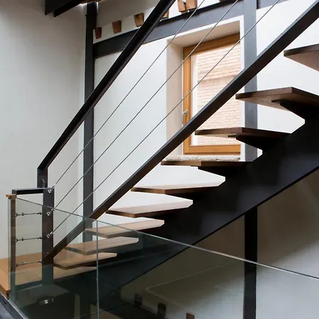 Antidoto San Agustin - Recomendado Adultos 톨레도