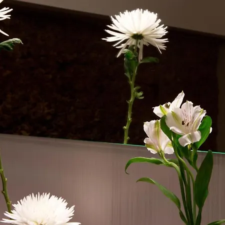 Antidoto San Agustin - Recomendado Adultos 4* 톨레도