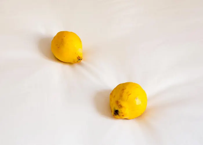 게스트하우스 Antidoto San Agustin - Recomendado Adultos 4*