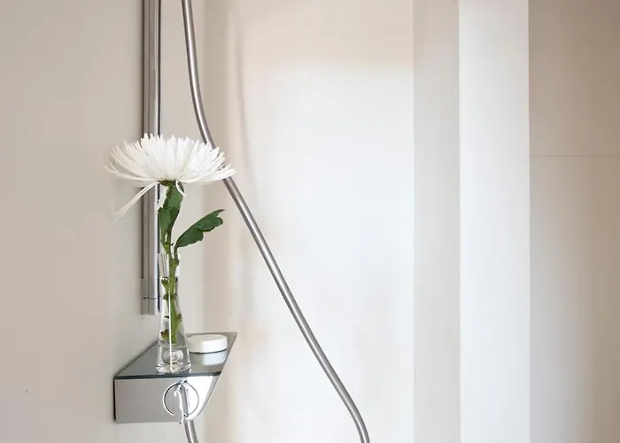 Antidoto San Agustin - Recomendado Adultos 톨레도