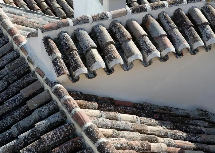 게스트하우스 Antidoto San Agustin - Recomendado Adultos