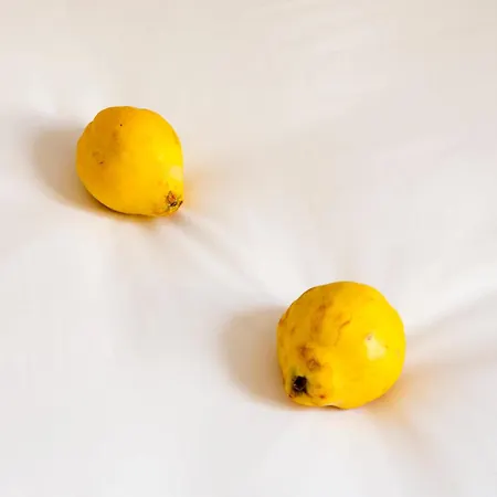 Casa de hóspedes Antidoto San Agustín - Recomendado Adultos 4*