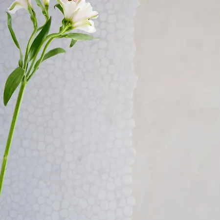 Maison d'hôtes Antidoto San Agustin - Recomendado Adultos 4*