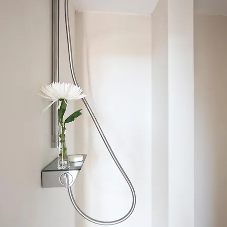 Antidoto San Agustin - Recomendado Adultos Tolède