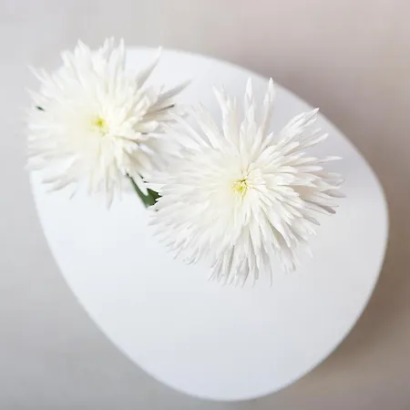 Maison d'hôtes Antidoto San Agustin - Recomendado Adultos