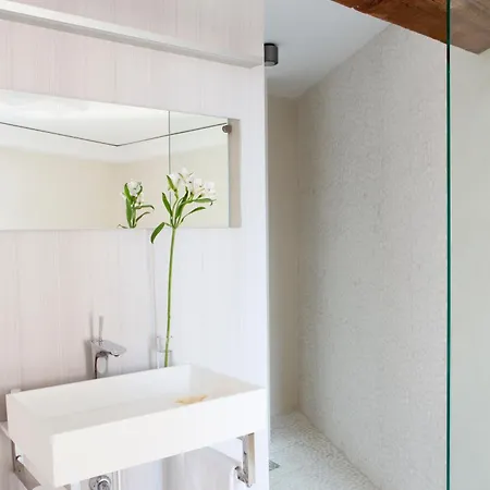 Antidoto San Agustin - Recomendado Adultos Tolède