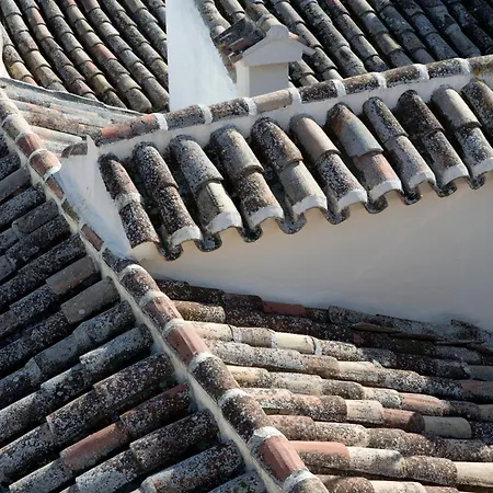 Casa de hóspedes Antidoto San Agustín - Recomendado Adultos