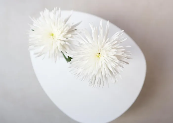 Πανσιόν Antidoto San Agustin - Recomendado Adultos