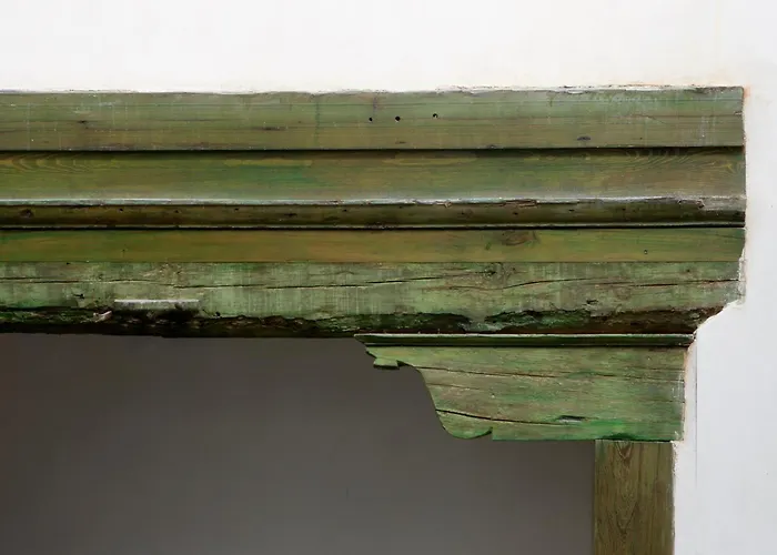 Antidoto San Agustin - Recomendado Adultos