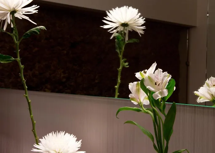 Antidoto San Agustin - Recomendado Adultos 4* Τολέδο